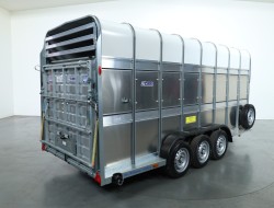 2025 Ifor Williams TA510 16x7 (497x178x212cm) Dubbeldeks Schapentrailer 3-asser VT761 | Aanhangwagen | Veetrailer