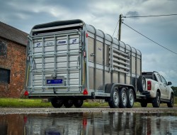 2025 Ifor Williams TA510 16x6 (497x178x182cm) Veetrailer 3-asser VT823 | Aanhangwagen | Veetrailer