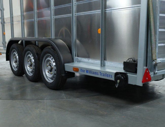 2025 Ifor Williams TA510 16x6 (497x178x182cm) Veetrailer 3-asser VT823 | Aanhangwagen | Veetrailer