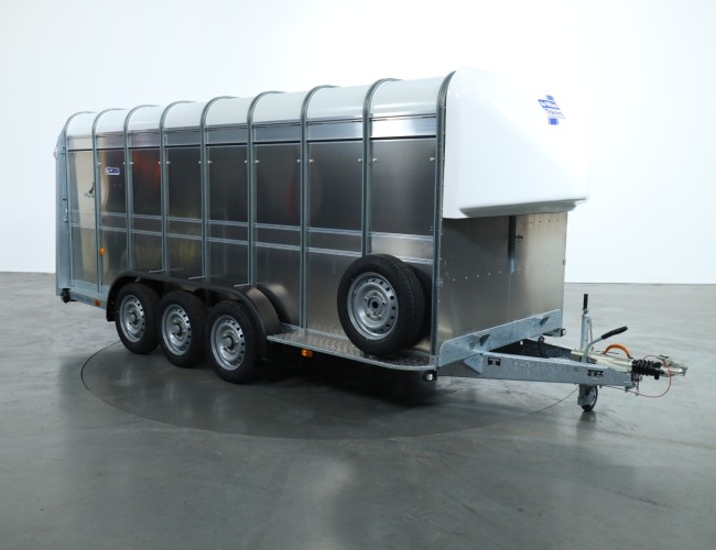 2025 Ifor Williams TA510 16x6 (497x178x182cm) Veetrailer 3-asser VT823 | Aanhangwagen | Veetrailer