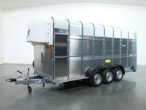2026 Ifor Williams TA510 16x7 (497x178x212cm) Dubbeldeks Schapentrailer/ Veetrailer VT1087 | Aanhangwagen | Veetrailer